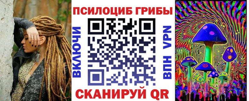 shop Telegram Выкса Галлюциногенные грибы Psilocybe наркотики